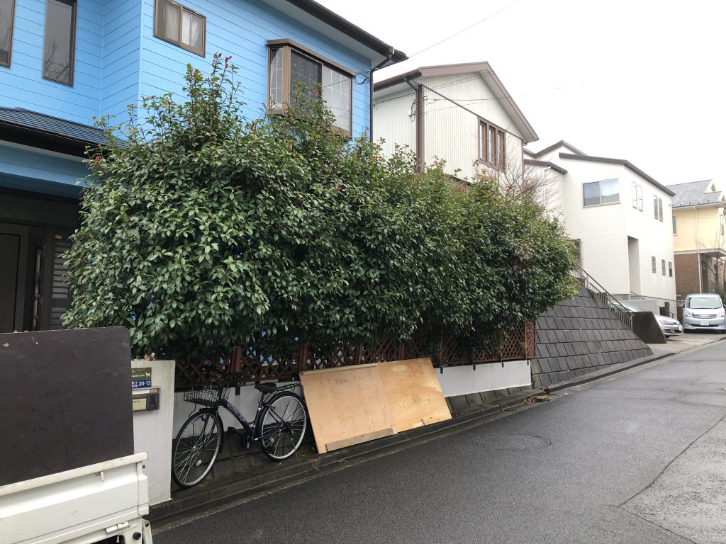 植栽管理・施工｜施工写真1
